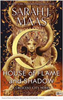 maas03.PNG