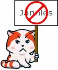 marseyjannyprotest, marsey protests jannies, no disapprove.jpg