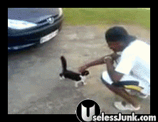 Blackshatecats.gif