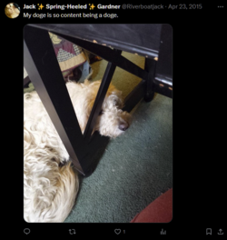 1712837718395.png