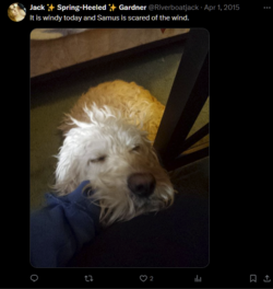 1712837816039.png