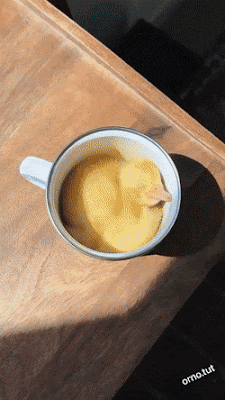 Awake but at what cost.gif
