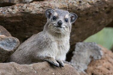 shutterstock-201373283-1.jpg