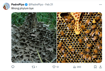 bugman 4.png