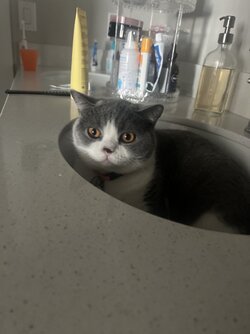 IMG_7719.jpeg