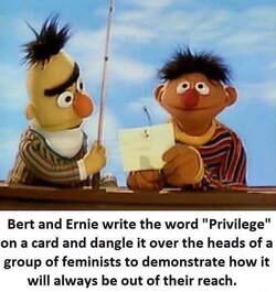 5ef4e55828b73.jpeg