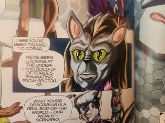 wretched cat.jpg