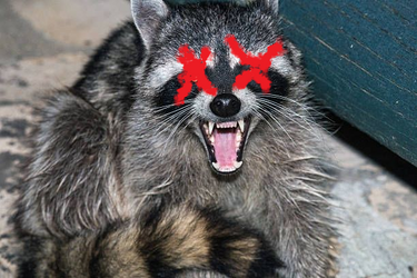 wegothimnoexif.png