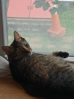 20240709_112256.jpg