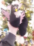 amfurbtere 4.jpg