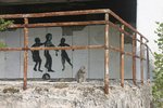 pripyat cat.jpg