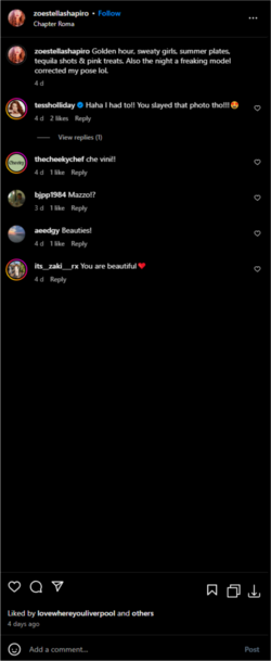 5a.png