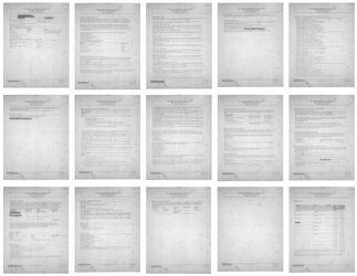 ARR Case Plan (Leaked 2024-07-15).jpg