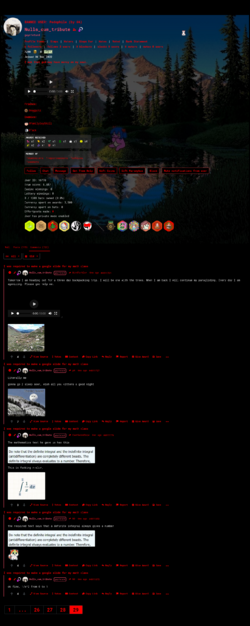 29.png
