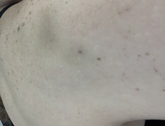 IMG_2603.jpeg
