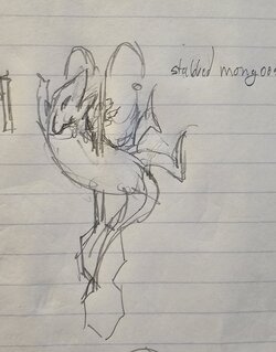 20240910_173211.jpg