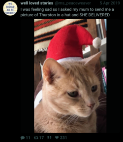 Screenshot_20240911-151230_(1).png