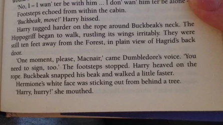 Hermione's white face.jpg