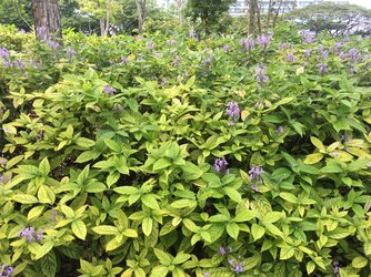 IMG_0058.jpeg
