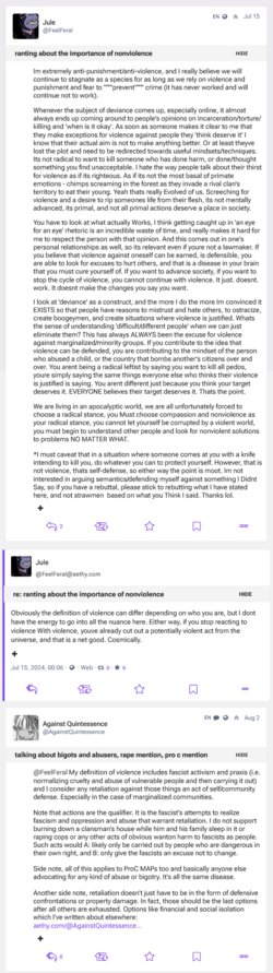 Screenshot 2024-09-16 at 13-00-22 Jule re ranting about the importan… - Aethy.png