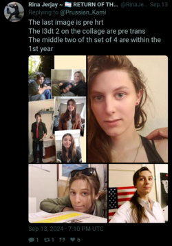 Screenshot_20240920-004246_(1).png
