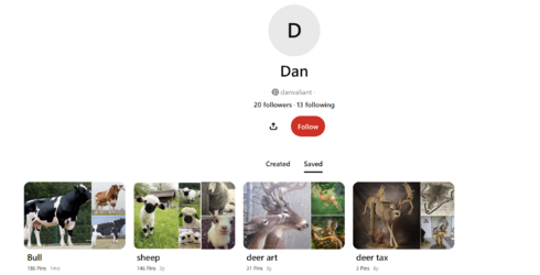 dan pinterest.png