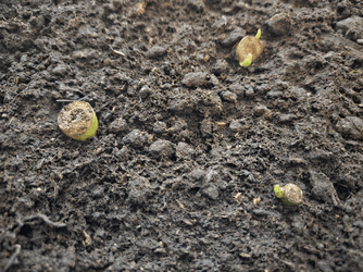 ezgif-2-b5b8541ce6.gif