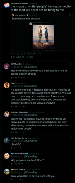 Screenshot_20241012-150344_(1).png
