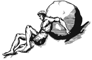 1732308110943.png