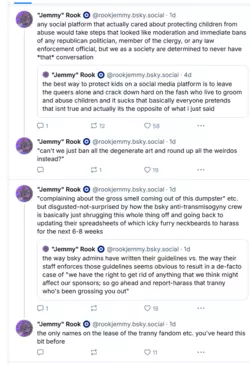 Screenshot 2024-11-29 at 16-33-57 Jemmy Rook 🧿 (@rookjemmy.bsky.social) — Bluesky.png
