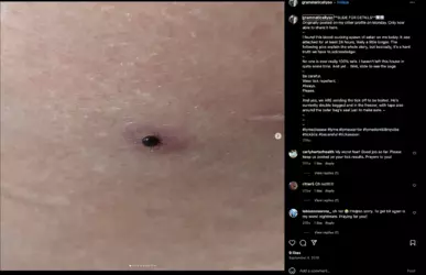 Screenshot 2024-12-18 at 17.42.19.png