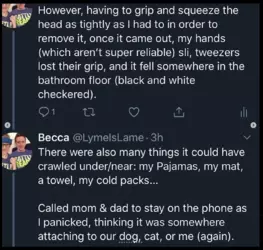 Screenshot 2024-12-18 at 17.45.21.png