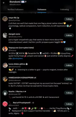 Rondomi_followers2.PNG