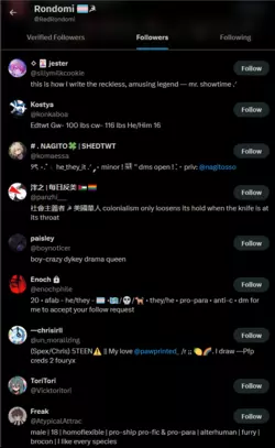 Rondomi_followers3.PNG