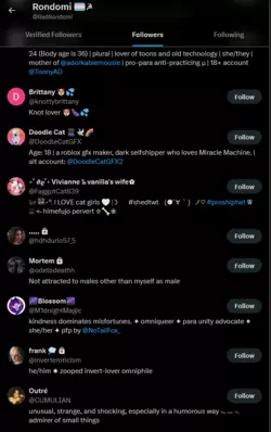 Rondomi_followers5.PNG