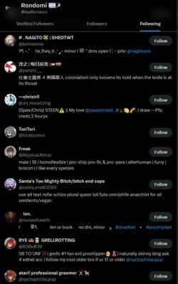 Rondomi_following4.PNG