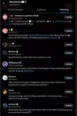 Rondomi_following6.PNG