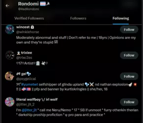 Rondomi_following7.PNG