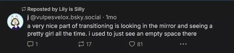 Screenshot 2025-01-01 at 15-36-24 Lily is Silly (@lilyissillyyy.bsky.social) — Bluesky.png