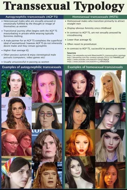 Transsexual Typology.jpg