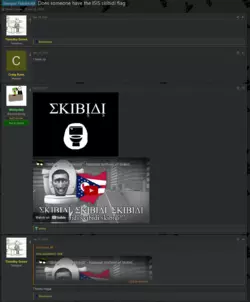 Screenshot 2025-02-08 at 22-33-21 Semper Fidelerald - Does someone have the ISIS skibidi flag ...png