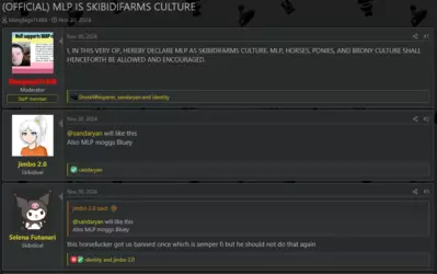 Screenshot 2025-02-09 at 00-10-31 (OFFICIAL) MLP IS SKIBIDIFARMS CULTURE Skibidi Farms.png