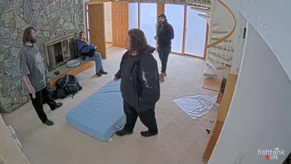 latest(17).png