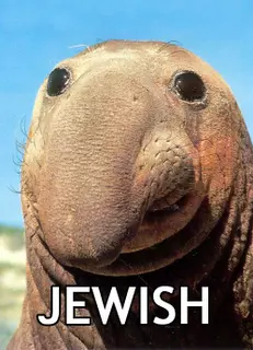Jew_walrus.png