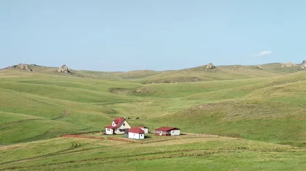 44.jpg