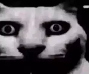 7242900-1beb80c7e3d4263e5bfc5209cceab97d.webp