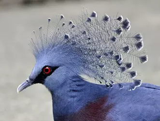 1747009365563.webp