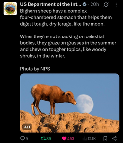 Screenshot_20250513_091247_X.webp