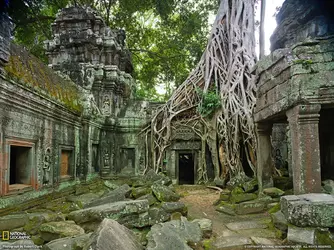 1600x1200_px_National_Geographic_nature_Overgrown_Temple_Trees-650601.webp