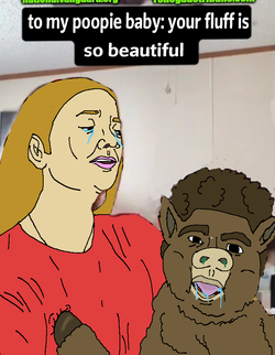 1747369747853412.webp
